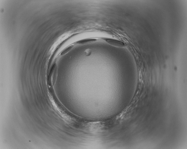 X0000055520054200508191556