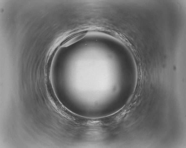 X0000055520055200508191556