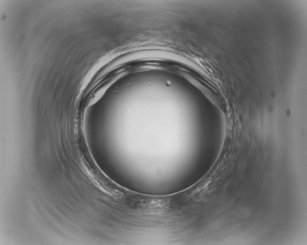 X0000055520056200508191556