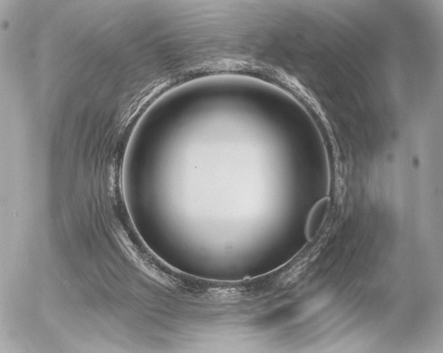 X0000055520057200508191556