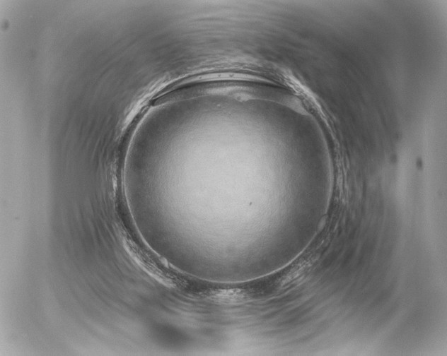 X0000055520059200508191556