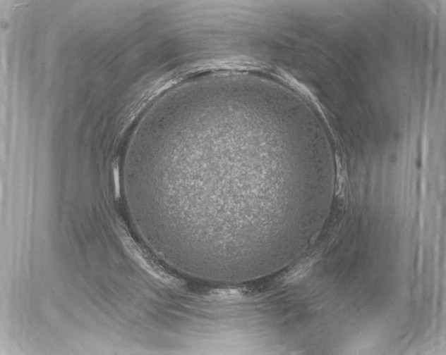 X0000055520061200508191556