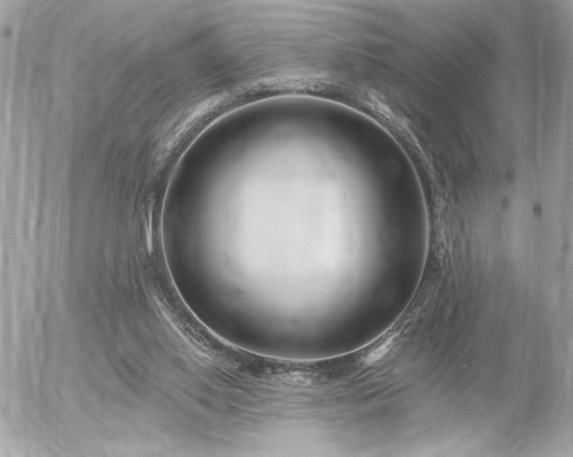 X0000055520062200508191556