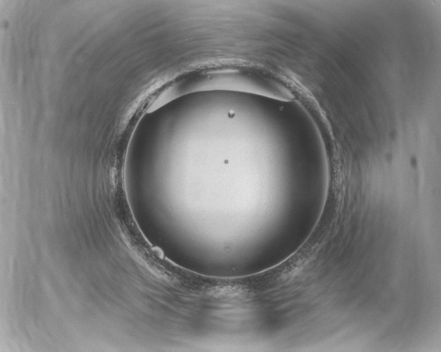 X0000055520063200508191556