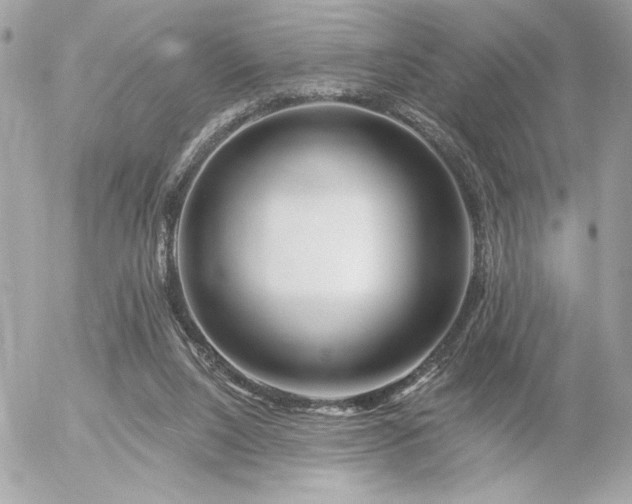 X0000055520064200508191556