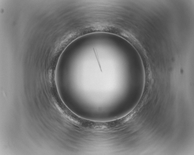 X0000055520066200508191556