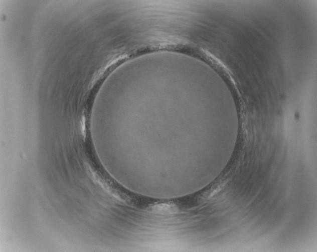 X0000055520067200508191556