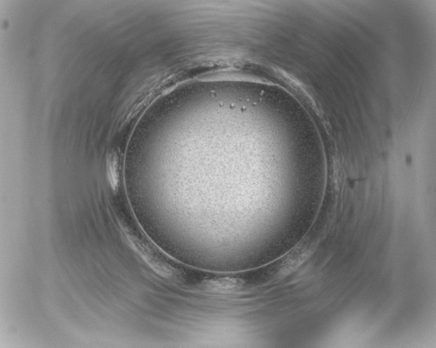 X0000055520069200508191556