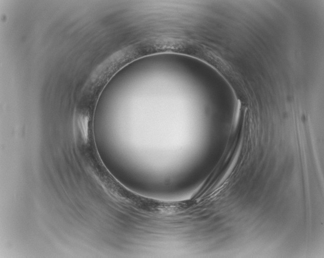 X0000055520070200508191556