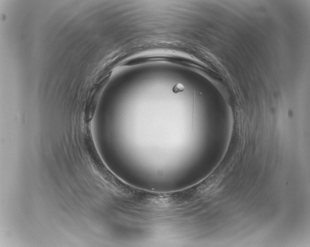 X0000055520071200508191556