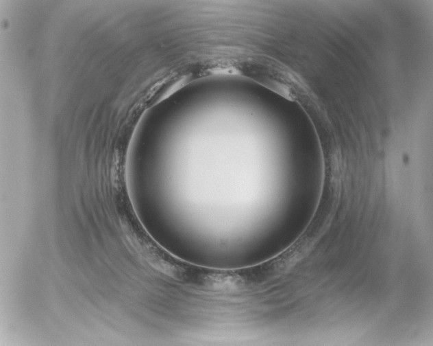 X0000055520073200508191556