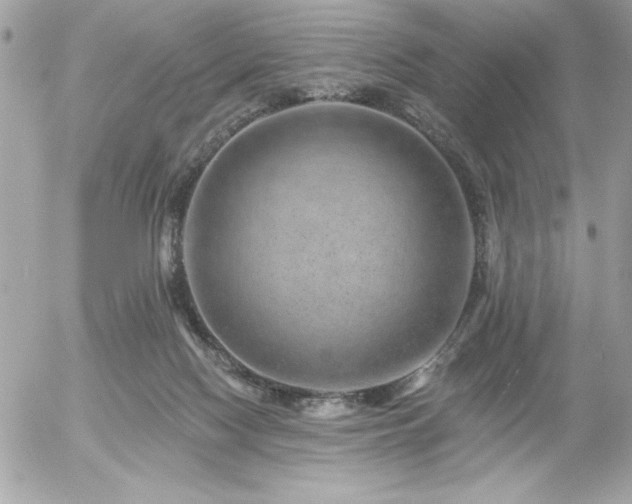 X0000055520074200508191556