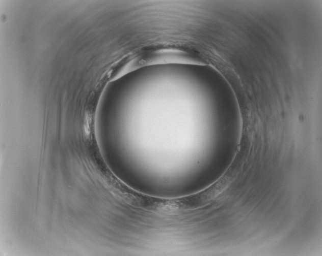 X0000055520075200508191556