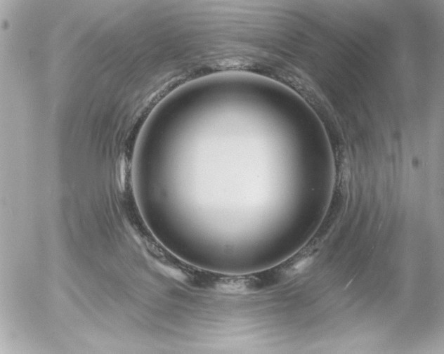 X0000055520076200508191556