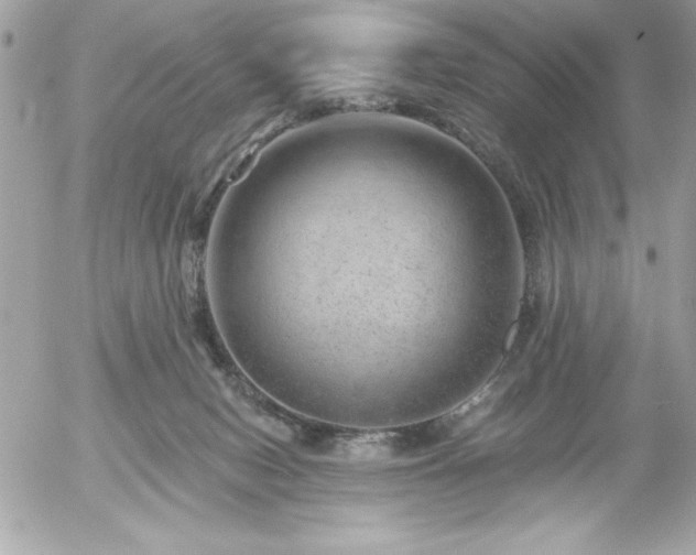 X0000055520078200508191556