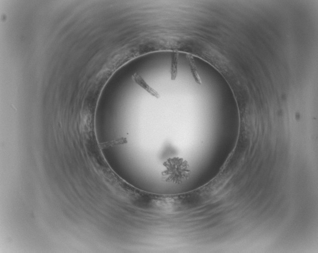 X0000055520079200508191556