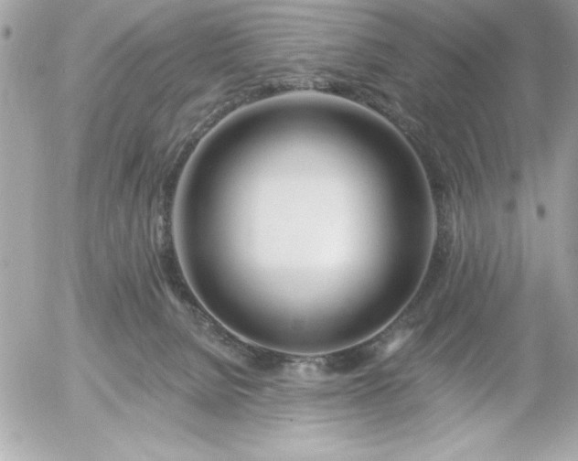 X0000055520080200508191556