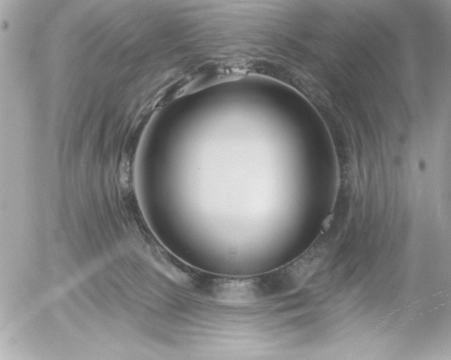 X0000055520081200508191556