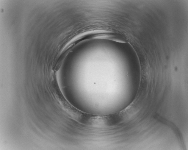 X0000055520082200508191556