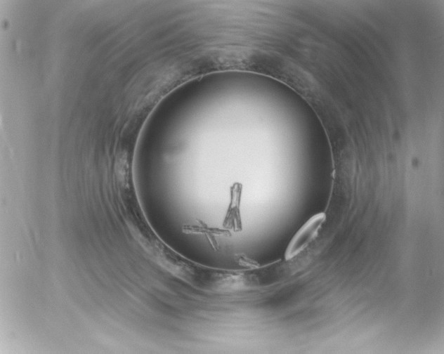 X0000055520083200508191556