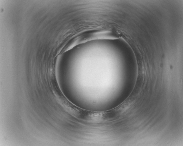 X0000055520084200508191556