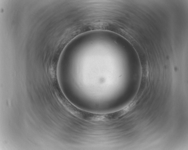 X0000055520086200508191556