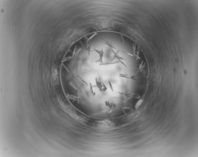 X0000055520087200508191556