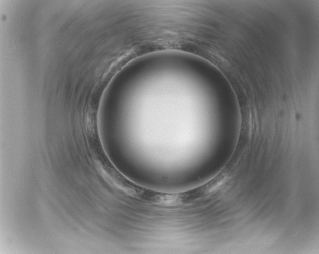 X0000055520088200508191556