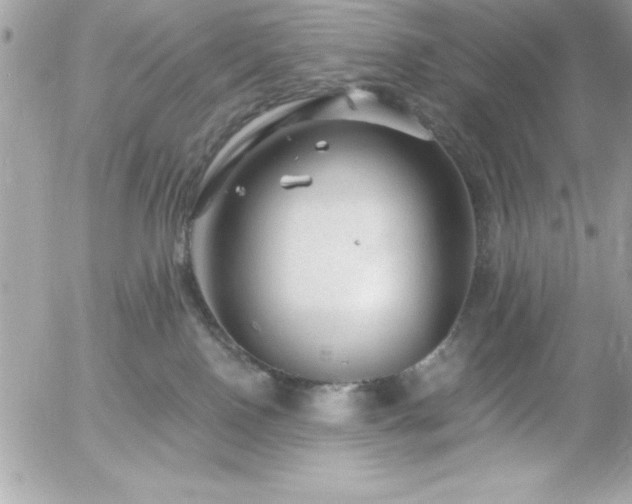 X0000055520090200508191556