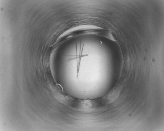 X0000055520091200508191556