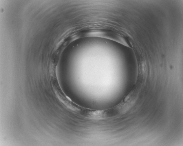 X0000055520092200508191557