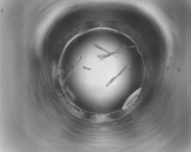 X0000055520093200508191557