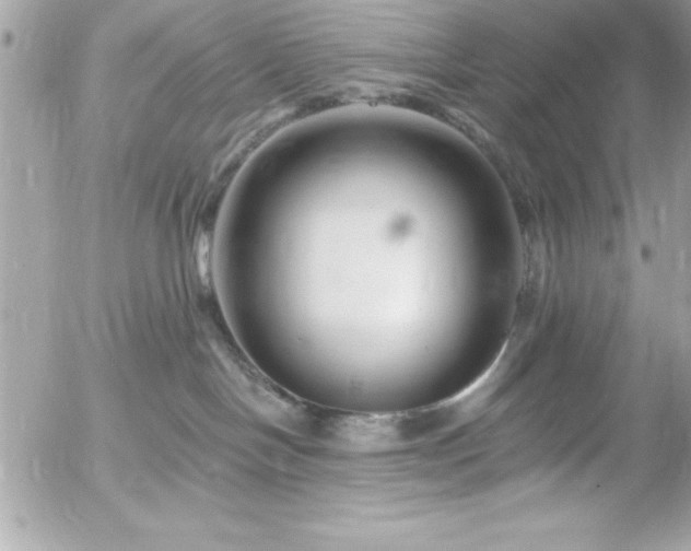 X0000055520094200508191557