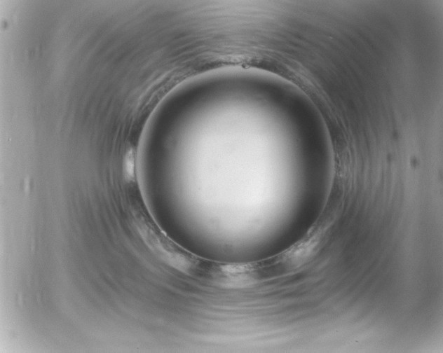 X0000055520095200508191557