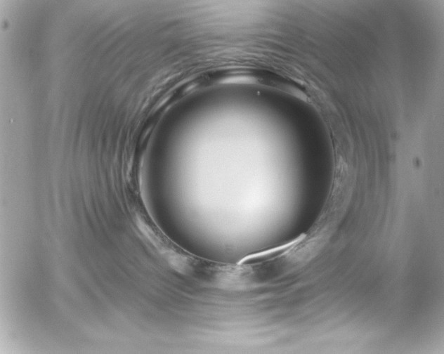 X0000055520096200508191557