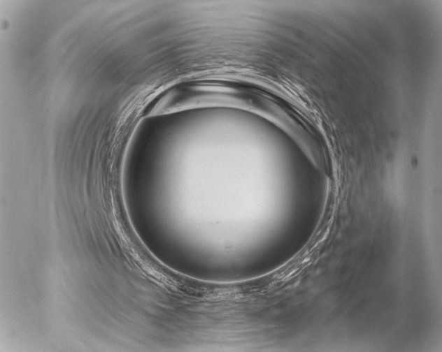 X0000055520097200508191556