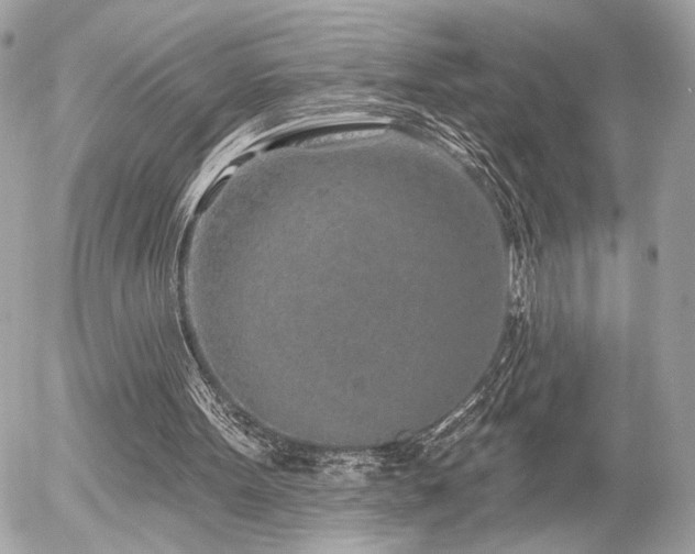 X0000055520099200508191556