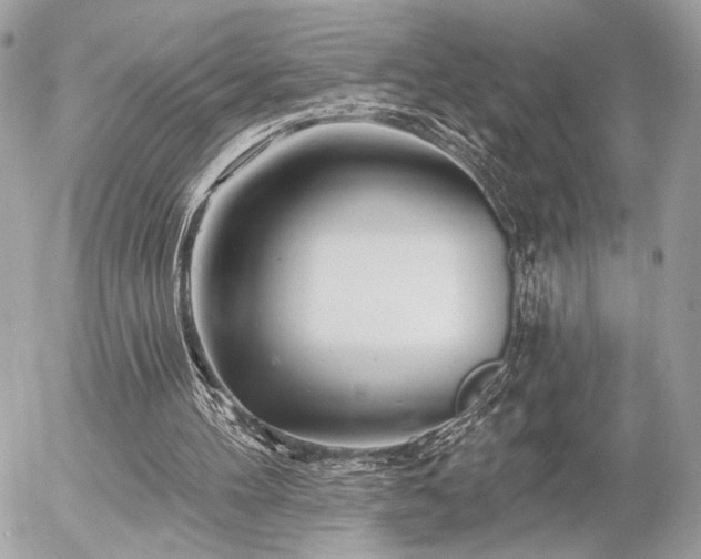 X0000055520100200508191556