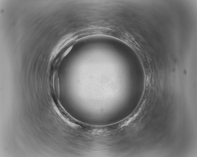 X0000055520101200508191556