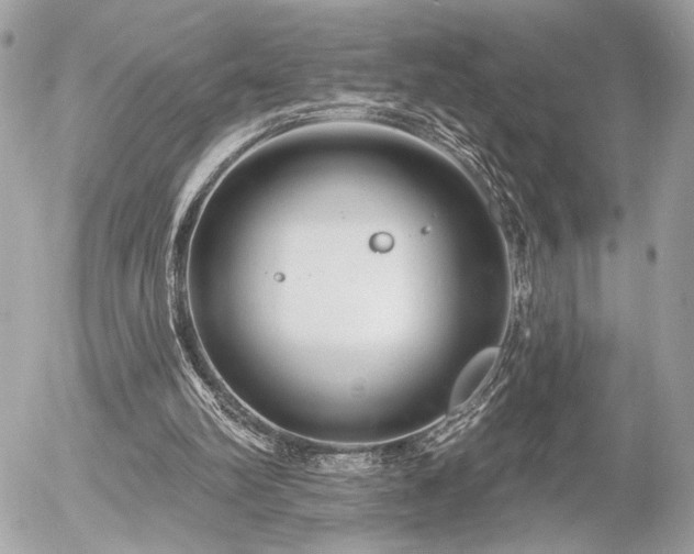 X0000055520102200508191556