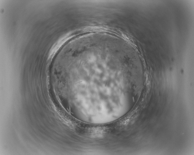 X0000055520103200508191556