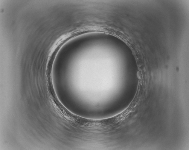 X0000055520104200508191556