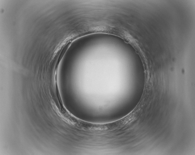 X0000055520106200508191556