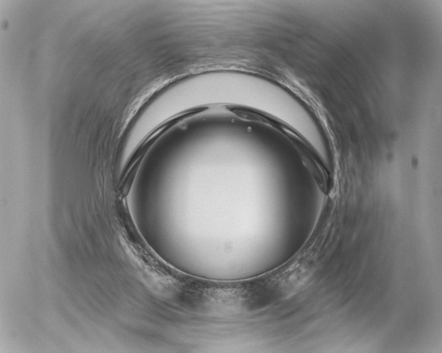 X0000055520107200508191556