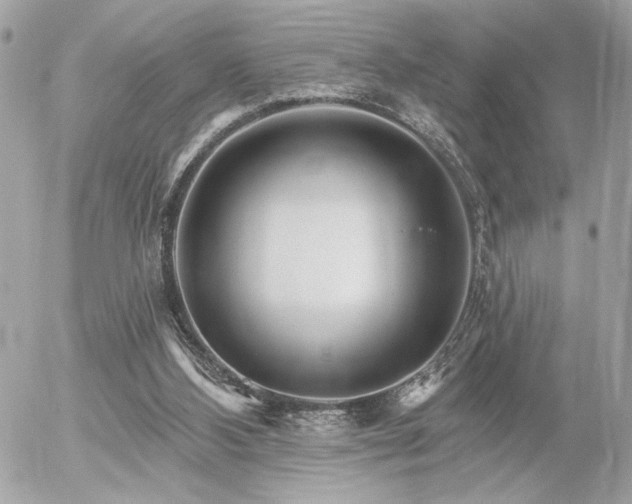 X0000055520108200508191556