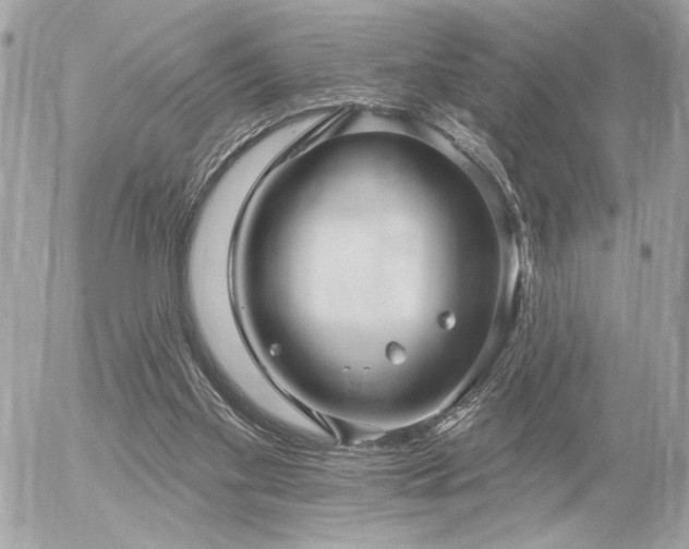 X0000055520109200508191556