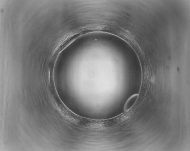 X0000055520110200508191556