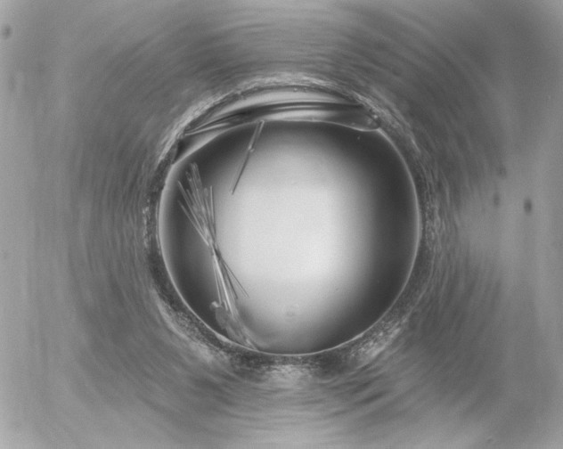 X0000055520111200508191556