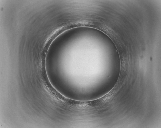 X0000055520112200508191556