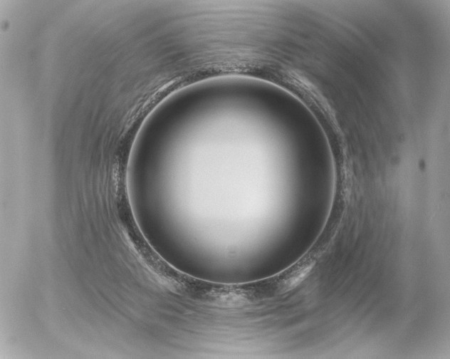 X0000055520113200508191556